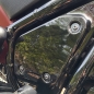Preview: Side Cover Schrauben - pass. f. Indian Bagger / Touring